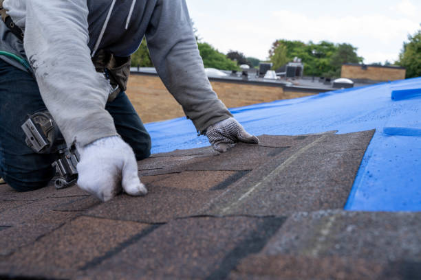 Best Best Roofing Contractors  in Maryvle, IL